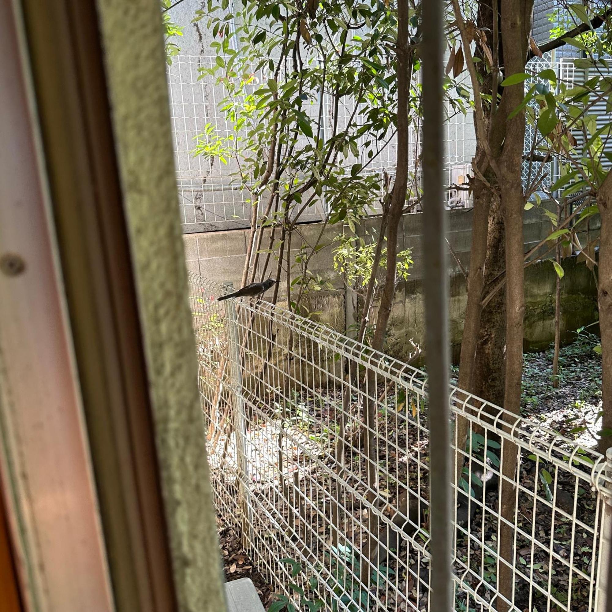 神楽坂戸建てサウス Villa Tokyo Exterior photo
